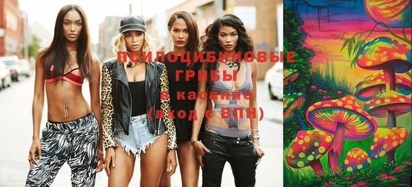 хмурый Мегион
