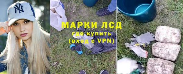 хмурый Мегион