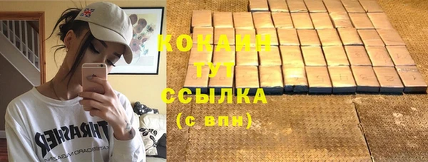 гашик Медногорск