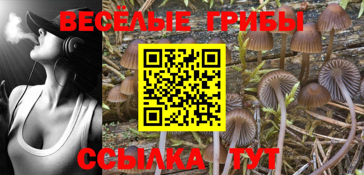 Псилоцибиновые грибы мухоморы Сызрань